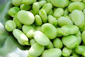 Fava Beans Fresh Fork Market gambar png