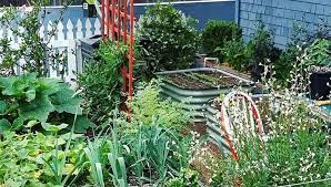 Urban Gardening With Vegetables In