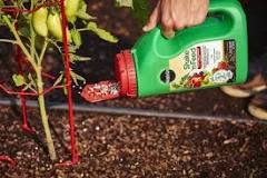 What is a good fertilizer for pepper plants?