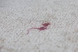 remove red wine stains from carpet