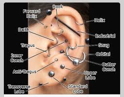 What Should I Get Next Lol Types Of Ear Piercings Cute