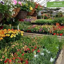 andover wyevale garden centre 6 tips