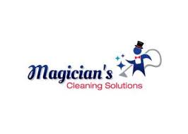 3 best carpet cleaners in mesquite tx