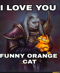 love you funny orange cat ifunny brazil