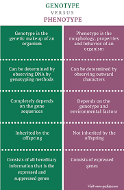 Difference Between Genotype And Phenotype Pediaa Com