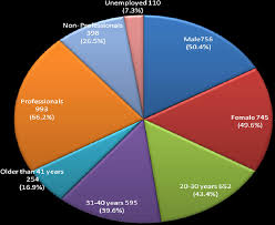 Pie Chart Representation Of Respendents Demographic