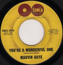 Marvin Gaye – You're A Wonderful One (1964, Vinyl) - Discogs