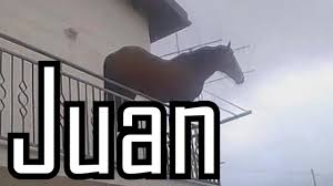 Maybe you would like to learn more about one of these? Juan Leaves The Balcony Juan Horse Meme Youtube
