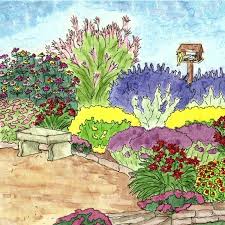 Drought Tolerant Pre Planned Garden