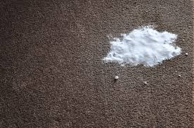 how to clean vomit out of carpet like a