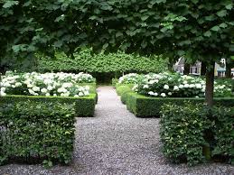 Hydrangeas Topiary And Boxwood
