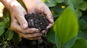 Improving Soil Biology