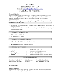 Digital Media Resume   Free Resume Example And Writing Download