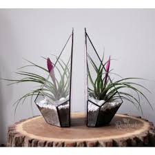 Set Of 2 Wall Hanging Planter Boxes
