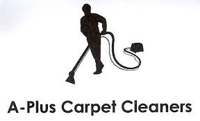 carpet cleaning in eagan mn