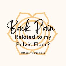 back pain to my pelvic symptoms