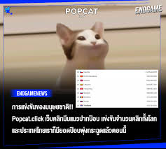 สงครามโลกครั้งใหมา กับเกมแข่งกดหน้าจอมือถือที่ชื่อว่า #popcat ให้แมวอ้าปาก กด 1 ครั้ง. Ph8tostdjfyjqm