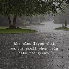 When rain falls, it washes across the world and can make even a dirty old street look glistening and beautiful. The Beautiful Smell Of The Sky Hydrating The Earth Rainy Day Quotes Rain Quotes Love Rain