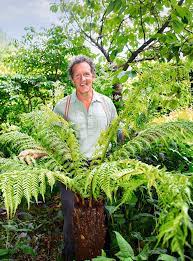 grow ferns in your garden