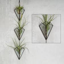 Triple Stained Glass Air Plant Holder