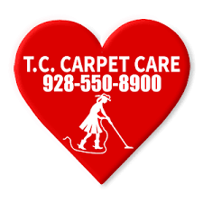 carpet floor cleaning services in