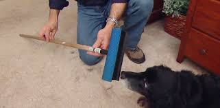 how to remove pet hair from carpet