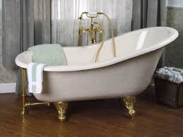 The Iconic Clawfoot Tub Is Back Van