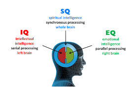 Crystallized Intelligence  Examples   Definition