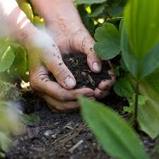 Adding Compost To Garden Soil Planet