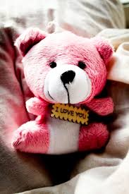 i love you teddy bear cute bears hd
