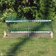Easy and cheap to build, they are ideal for cats. Drop Trap Options For Cats Alley Cat Allies
