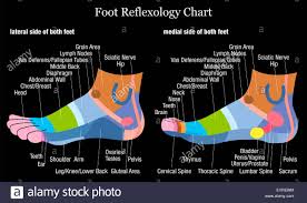 Foot Reflexology Chart Inside And Outside View Of The Feet