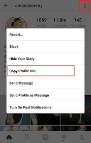 As you know, instagram only shows the cropped circular version of profile photos. How To View Download Someone S Instagram Profile Picture Full Size Vintaytime