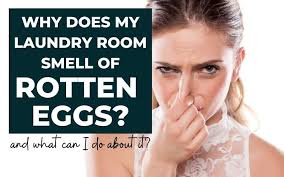 laundry room smell like rotten eggs