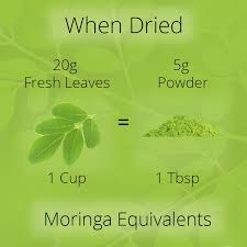 So Just How Nutritious Is Moringa Oleifera