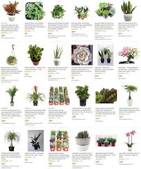 Houseplants For Our House Plants
