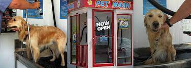 See all available apartments for rent at new orleans park apartment homes in secane, pa. Self Serve Pet Wash Sunshine Super Wash