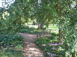 Oxford Botanical Gardens Bench