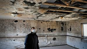 mold in vacant homes poses health threat