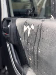 Protect Car Doors From Dog Scratches