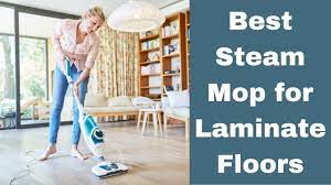 5 best steam mop for laminate floors of
