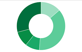 Changing The Pie Chart To The Donut Chart To Look More