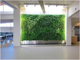 How To Create Your Diy Living Wall 5