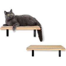 7 Best Cat Shelves On Dodowell