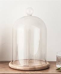 Bell Jar Dome Glass Cloches Bell Jars