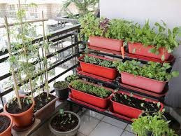 Waste Segregation Grow Herbs Make