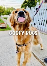 Goofy is a tall, anthropomorphic dog who typically wears a turtle neck and vest, with pants, shoes, white gloves, and a tall hat. Pin By Modleash On Goofy Dogs Goofy Dog Dogs Golden Retriever