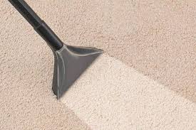 professional carpet cleaning deep