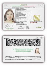 mexico consular fake id card