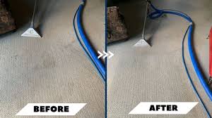 in home carpet and upholstery cleaning